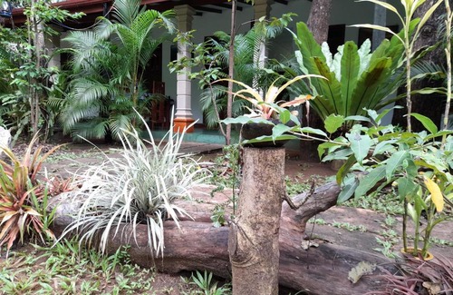Sigiriya Cabin | Sigiri Jungle Villa