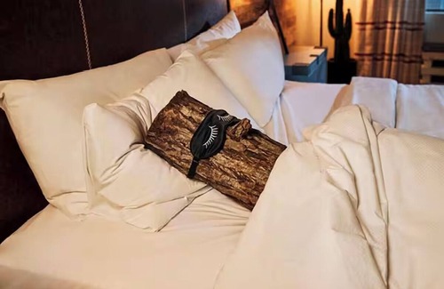 Enterprise Hotel | Silverton Hotel and Casino, Lodge King with EV Charging