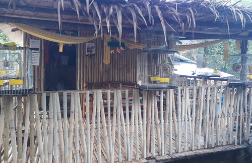 Angono RV Rental | Singalong Nature Camphill Site