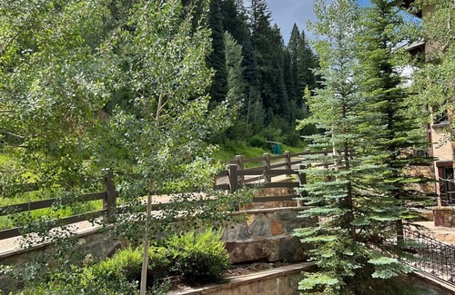 Village Walk House | SKI-IN SKI-OUT LUXURY Town Home! Walk to Beaver Creek Village with Hot Tub!