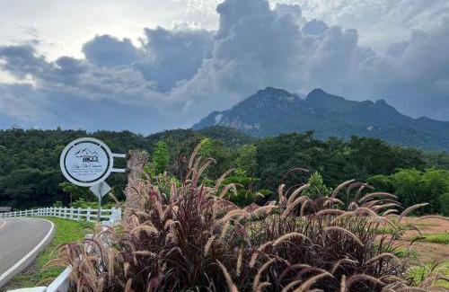 Chiang Dao Other | Sky The Campers