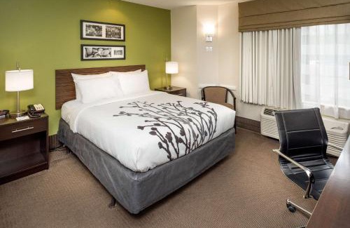 Big Chimney Hotel | Sleep Inn Charleston North
