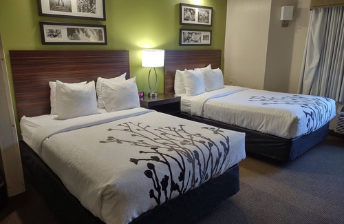 Fredericksburg Hotel | Sleep Inn Fredericksburg North