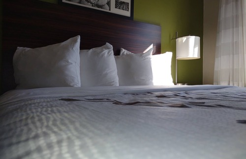 Fredericksburg Hotel | Sleep Inn Fredericksburg North