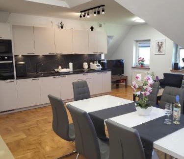 Polany Apartment | SOBEL II