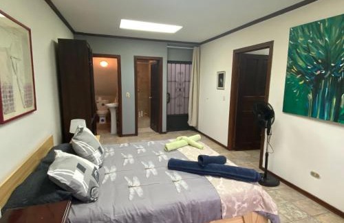 Carmen Apartment | Sofia Apartments in Escalante, San Jose Center
