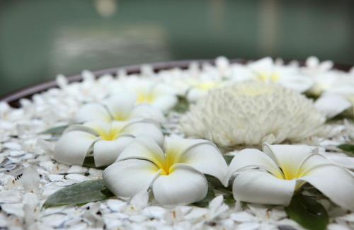 Nong Thale Resort | Sofitel Krabi Phokeethra Golf and Spa Resort