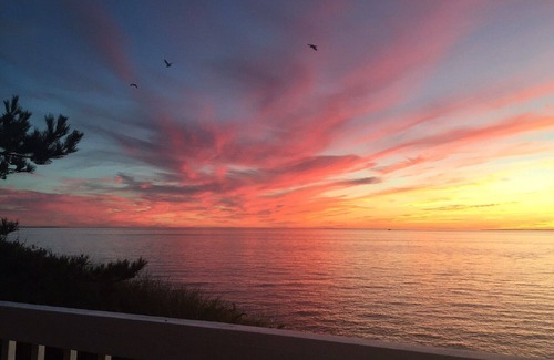 Wellfleet House | Spectacular Private Waterfront Cottage on Bayside. Panoramic Views. Pet Friendly