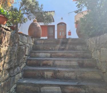 Armenistis Apartment | SPITIKARIOTIKO Ikarian Cottage