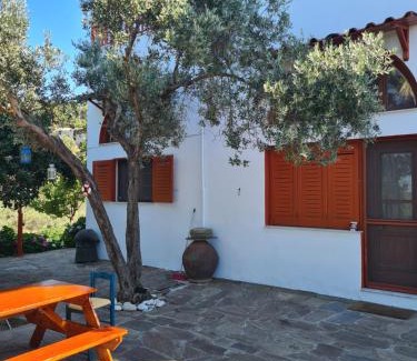 Armenistis Apartment | SPITIKARIOTIKO Ikarian Cottage