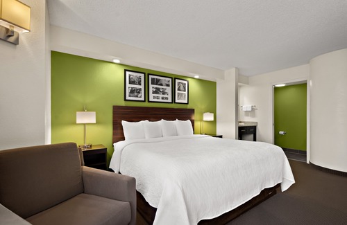 Wesley Chapel Hotel | SPOT X Hotel Tampa - Wesley Chapel by The Red Collection