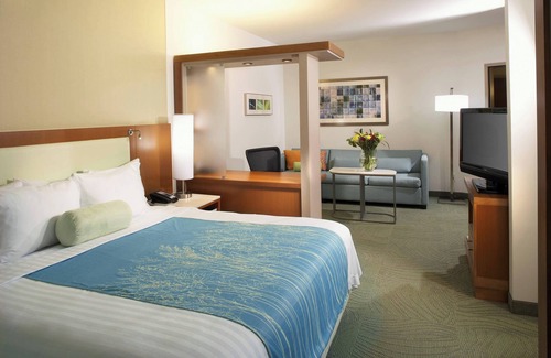 Webster Hotel | SpringHill Suites by Marriott Houston NASA/Webster