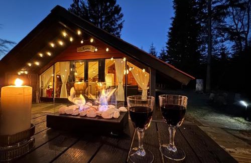 Ansager House | Stay in 2 cottages by the lake, Legoland, ForestCabinDK