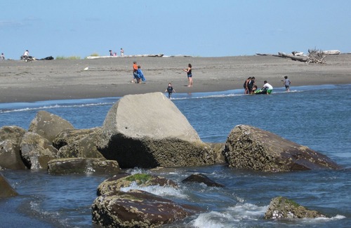 Ocean Shores Cottage | Steps From The Beach & Pet Friendly- NO MINIMUM STAY!
