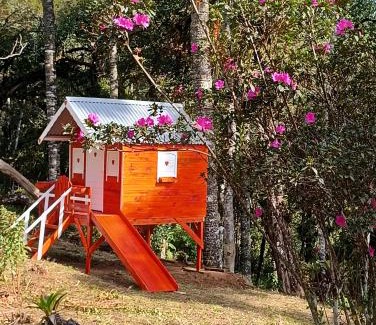 Nova Nazare Ski Chalet | Studio Árvore da vida