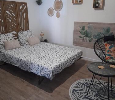 Lemasson Apartment | Studio 23 m2, proche centre, calme, WIFI, pk