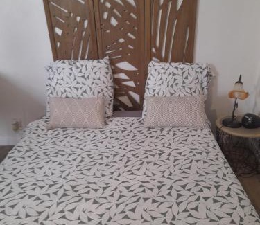 Lemasson Apartment | Studio 23 m2, proche centre, calme, WIFI, pk