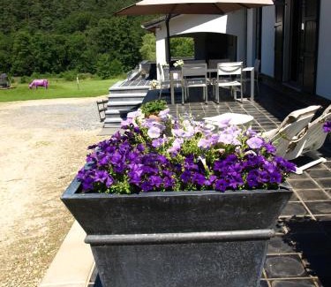 Sart-lez-Spa Bed & Breakfast | Studio & Appartement au Lac