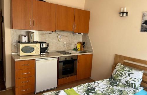 Shiligarnika Apartment | Studio in Cedar Lodge 3