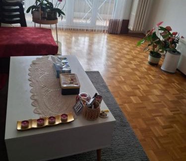 Busserach Apartment | Studio meublé avec TV, cuisine, sdb