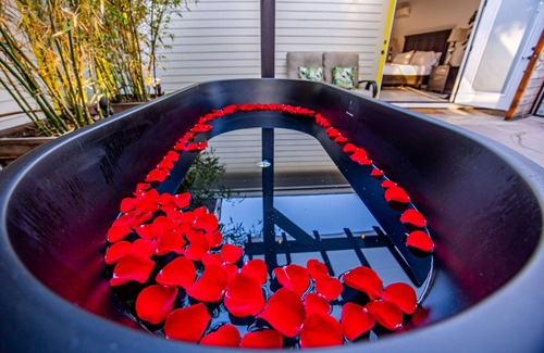 Hillcrest Apartment | Stunning Hillcrest San Diego Zen Studio OutdoorLiving HotTub RainShower Jacuzzy