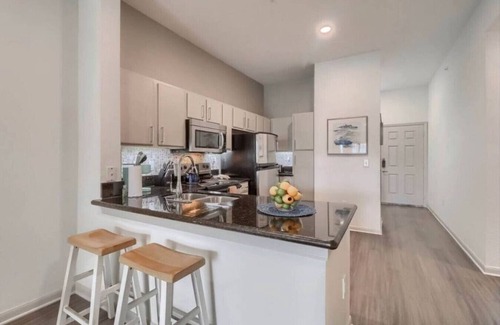 Travis Heights Apartment | Stunning View! Steps to Downtown, 6th St & Rainey!