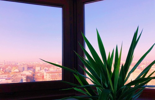 Constanta Apartment | Sunny, Modern Apt. by the Beach ♥