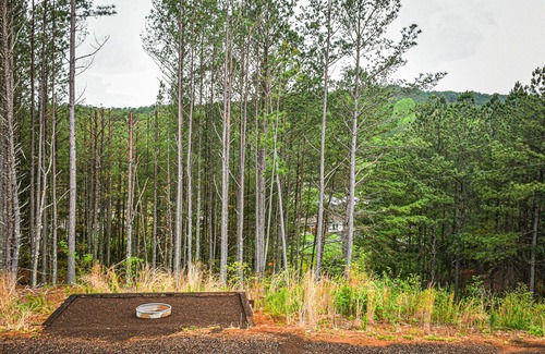 Ducktown Cabin | Sunset Cottage | 1 Bed, 1 Bath | Pet Friendly | Firepit