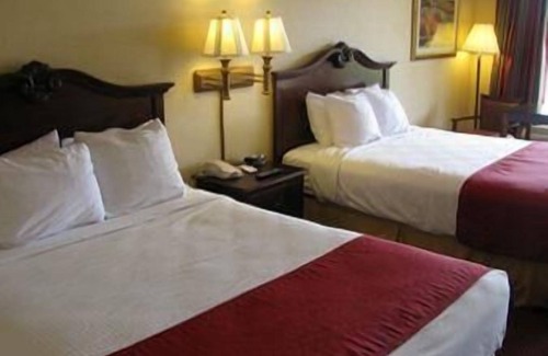 Sumter Hotel | Super 8 by Wyndham Sumter