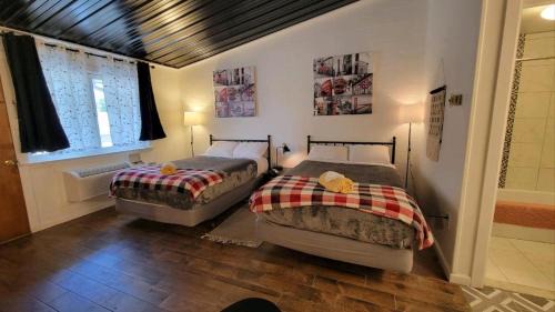 Sussex Hotel | Sussex Motel