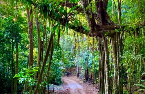 Christmas Island National Park Cabin | Swell Lodge