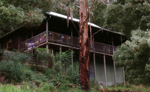 Apollo Bay Cabin | Tall Trees Eco Retreat - Blackwood Cottage