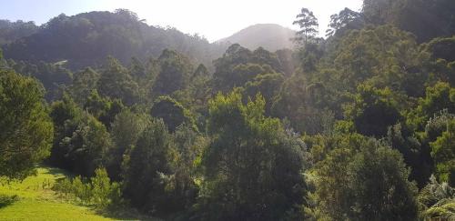 Apollo Bay Cabin | Tall Trees Eco Retreat - Blackwood Cottage