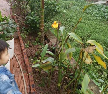 Hoa Lu Bed & Breakfast | Tam Coc Gold Smile Homestay