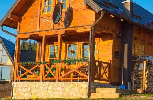 Bajina Basta Ski Chalet | Tarovuk cabin