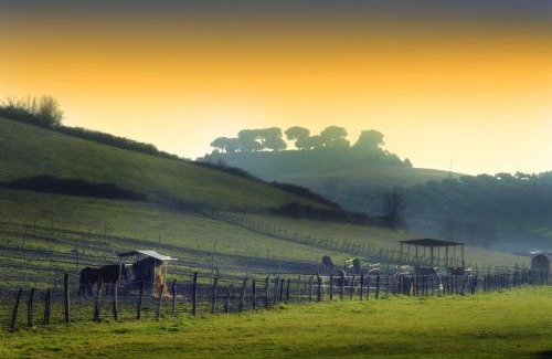 Zona III Marcigliana House | Tenuta Agricola Fonte Di Papa