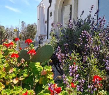 Casamassella Bed & Breakfast | Tenuta Valle dell Idro Otranto