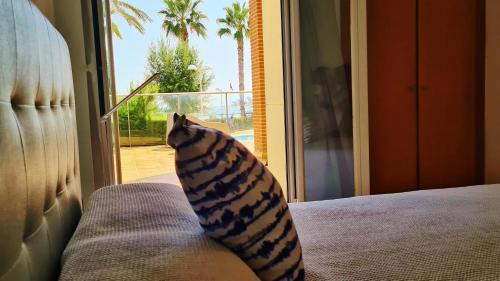 Almadrava Beach Apartment | Terraza al Mar