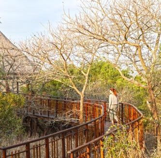 Hluhluwe Cabin | Thanda Safari