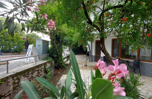 Oren Mahallesi Apartment | Thassos Apart Otel