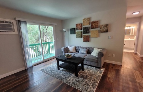 East Lansing Apartment | The East Lansing Bellen