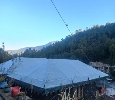 Kaul Other | The Foliage
