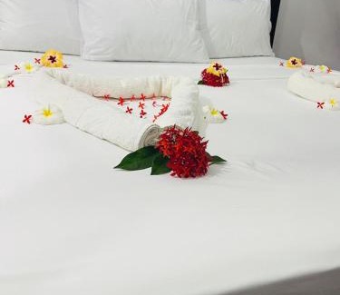 Mambrui Villa | The Foxy Nests of Karibuni - Villa 184 & 145