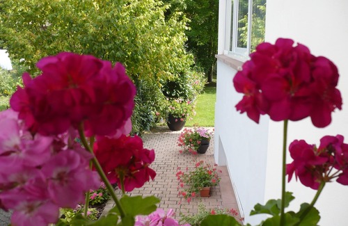 Lingolsheim Apartment | The gates of Strasbourg, in a flat green environment. 4 stars, 95m²