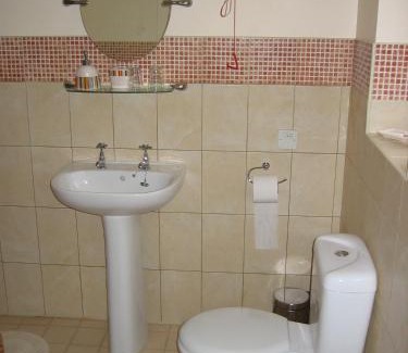 Rhayader House | The Horseshoe Guesthouse