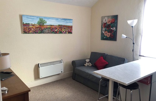 Douglas Apartment | The Hutchinson Apartments - Apartment 2 - Studio