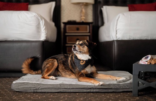 Back Bay Hotel | The Lenox Hotel Boston