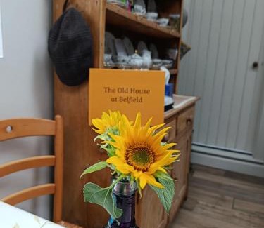 Tralee House | The Old House at Belfield