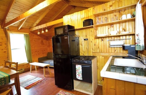 Lake City Cabin | The Sunflower Cabin with Mountain Views