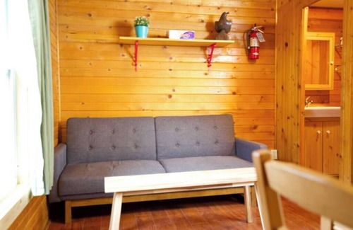 Lake City Cabin | The Sunflower Cabin with Mountain Views